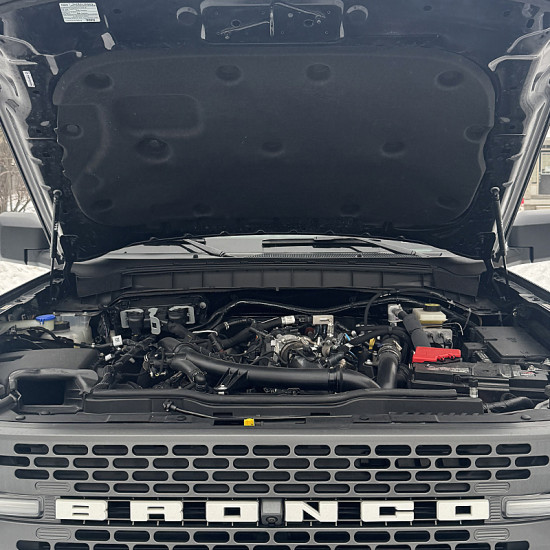 Ford Bronco OEM Hydraulic Hood Struts