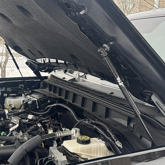 Ford Bronco OEM Hydraulic Hood Struts